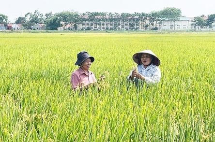 Biotechnology key to advancing sustainable agriculture: Experts
